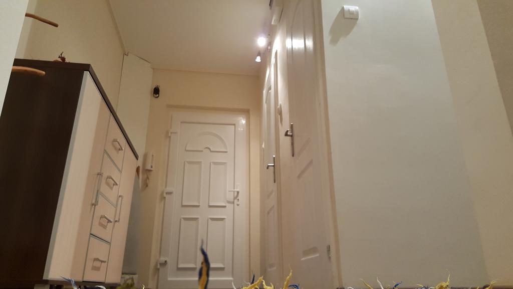 Aquarius Apartman Szeged Ngoại thất bức ảnh