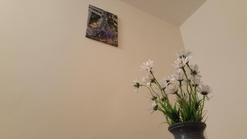 Aquarius Apartman Szeged Ngoại thất bức ảnh