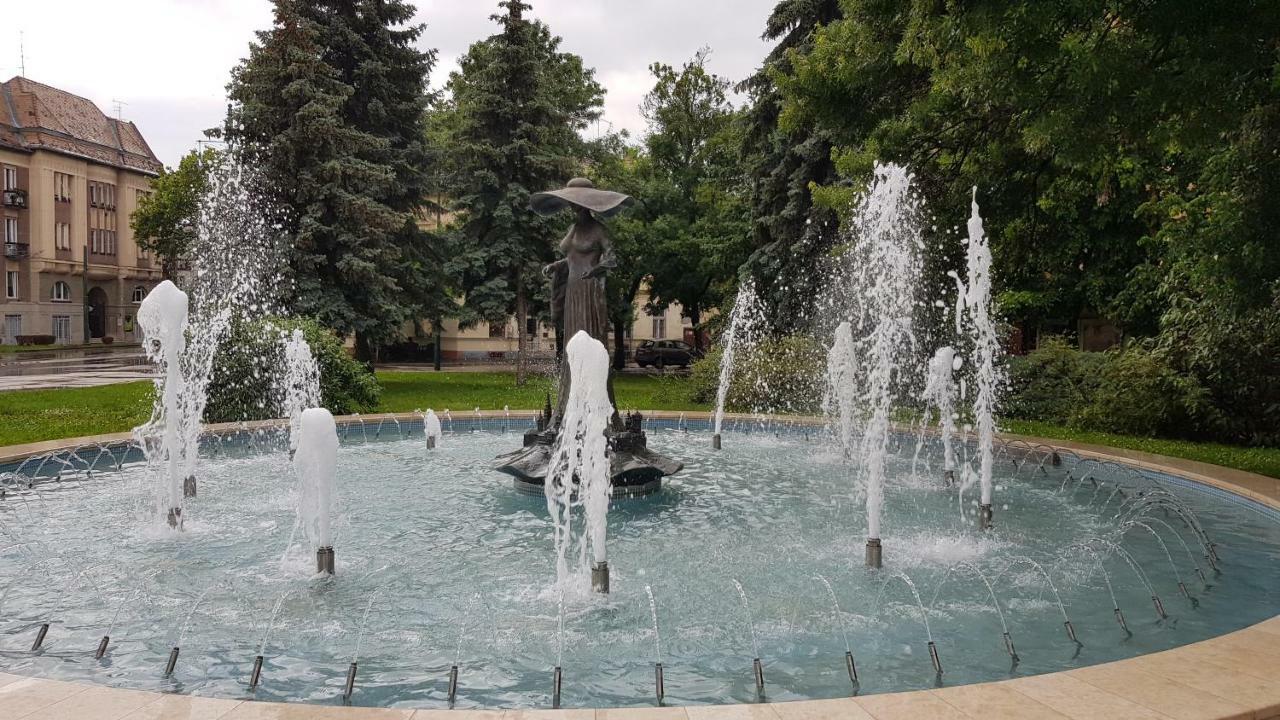 Aquarius Apartman Szeged Ngoại thất bức ảnh
